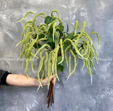 Load image into Gallery viewer, Natural Touch Amaranth Green Tails Branch Stem - Green (1 Stem)
