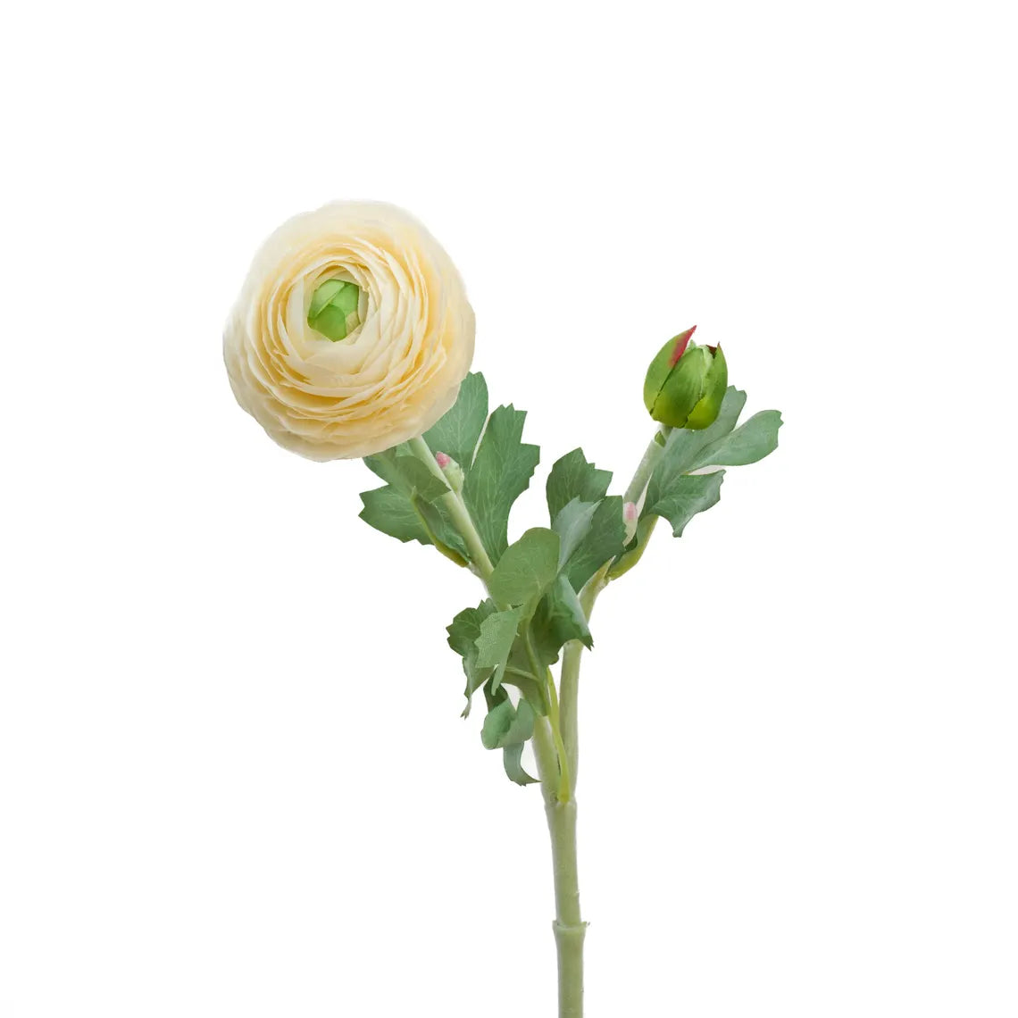 Faux Ranunculus Stem – Milky White