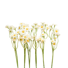 Load image into Gallery viewer, Faux Chamomile Bundle – Bright White - 6 stems
