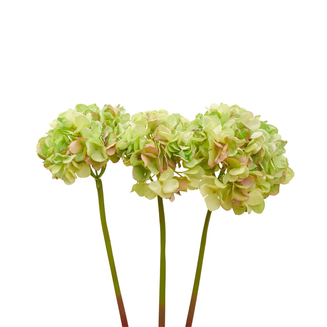 3 Stems Dried Look Hydrangea Bundle -Green