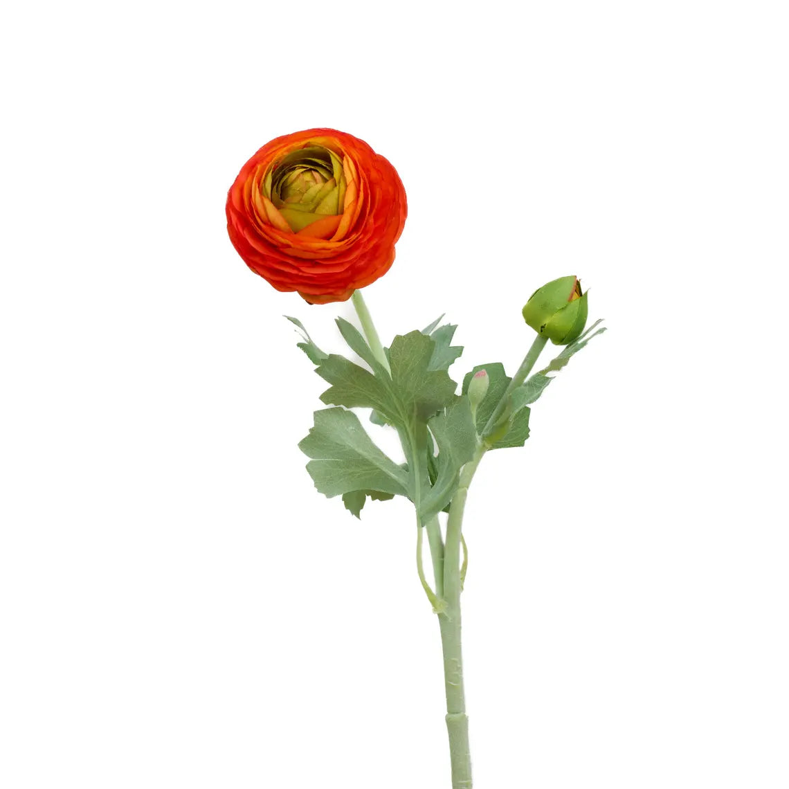Faux Ranunculus  – Orange