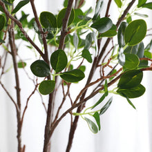 Load image into Gallery viewer, 44&quot; Real Touch Boxwood Baby Gem Branch -
