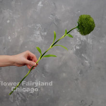 Load image into Gallery viewer, Real Touch Dianthus Green Ball Stem
