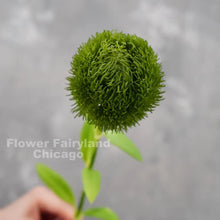 Load image into Gallery viewer, Real Touch Dianthus Green Ball Stem
