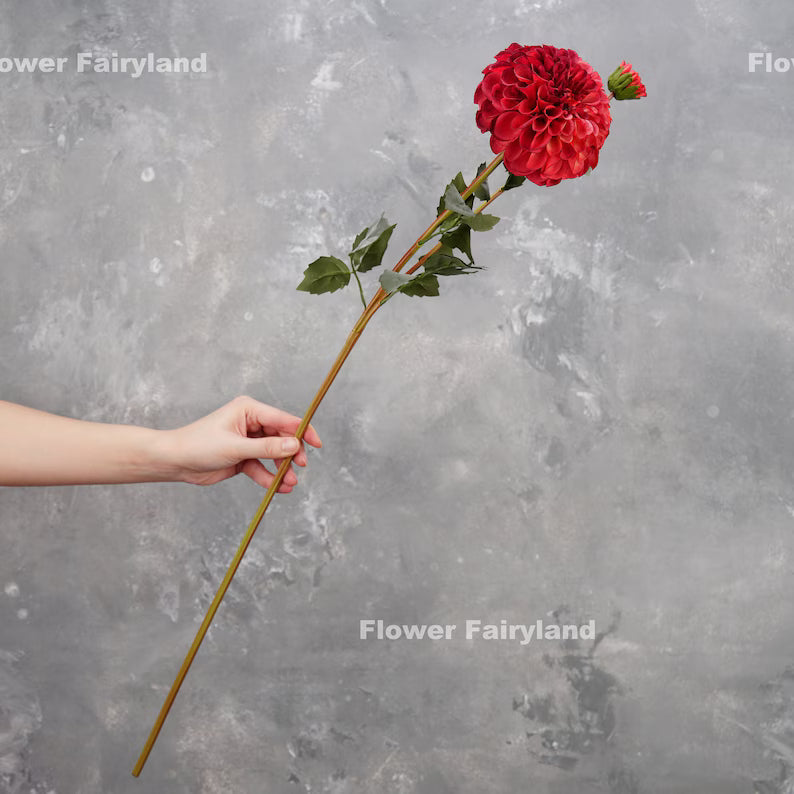 Palmares Dahlia Stem - Red
