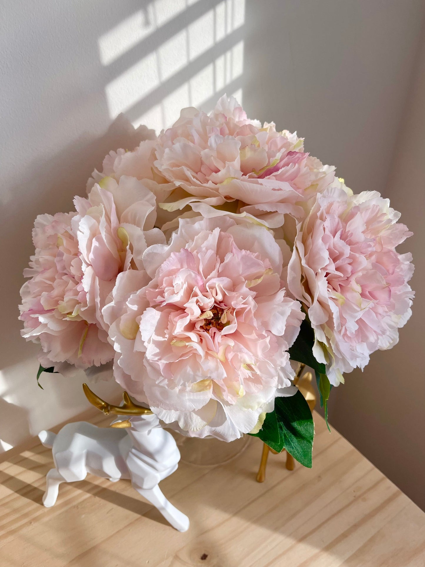 Light pink huge peony flower detail