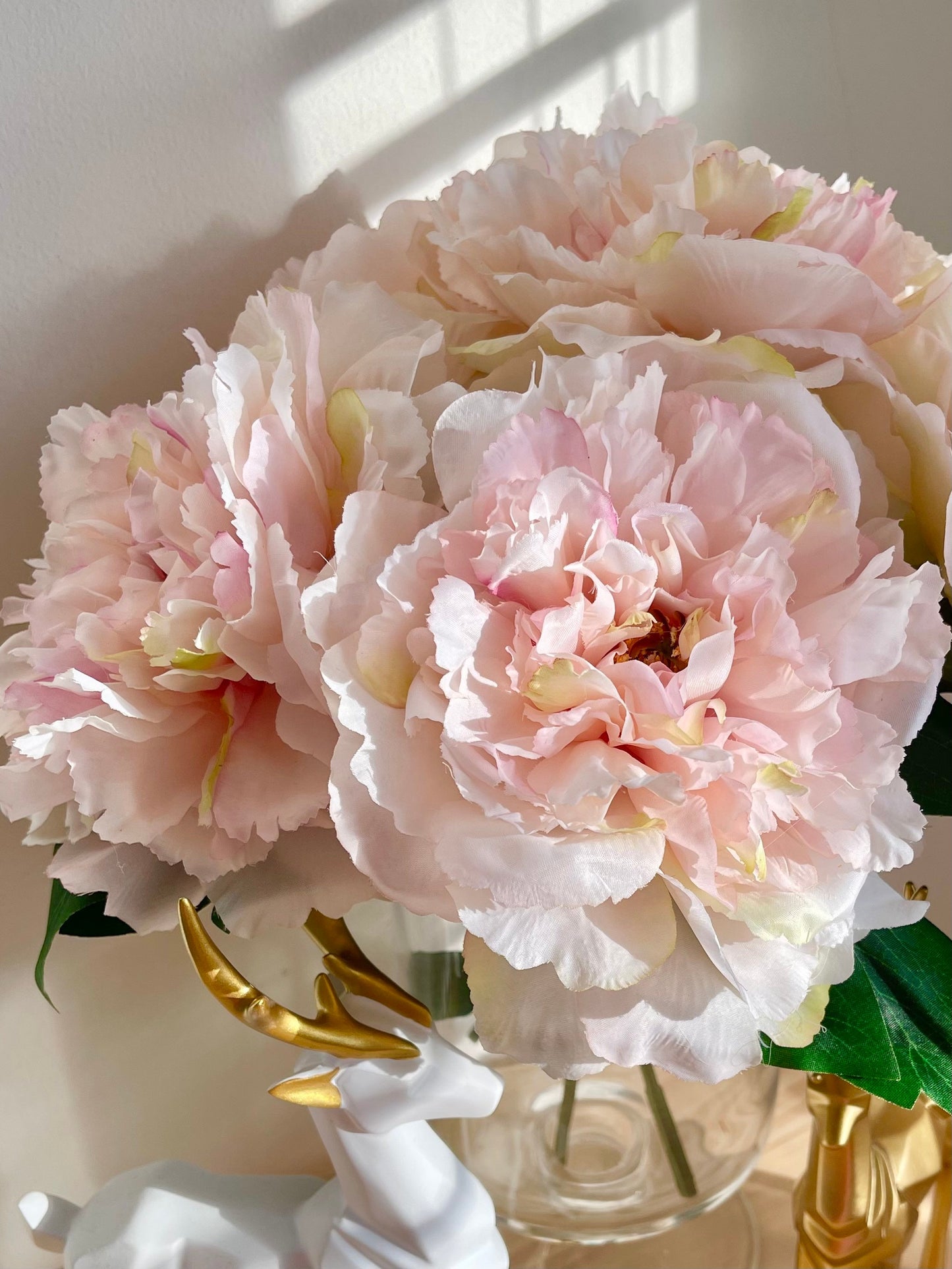 Light pink huge peony bloom close-up