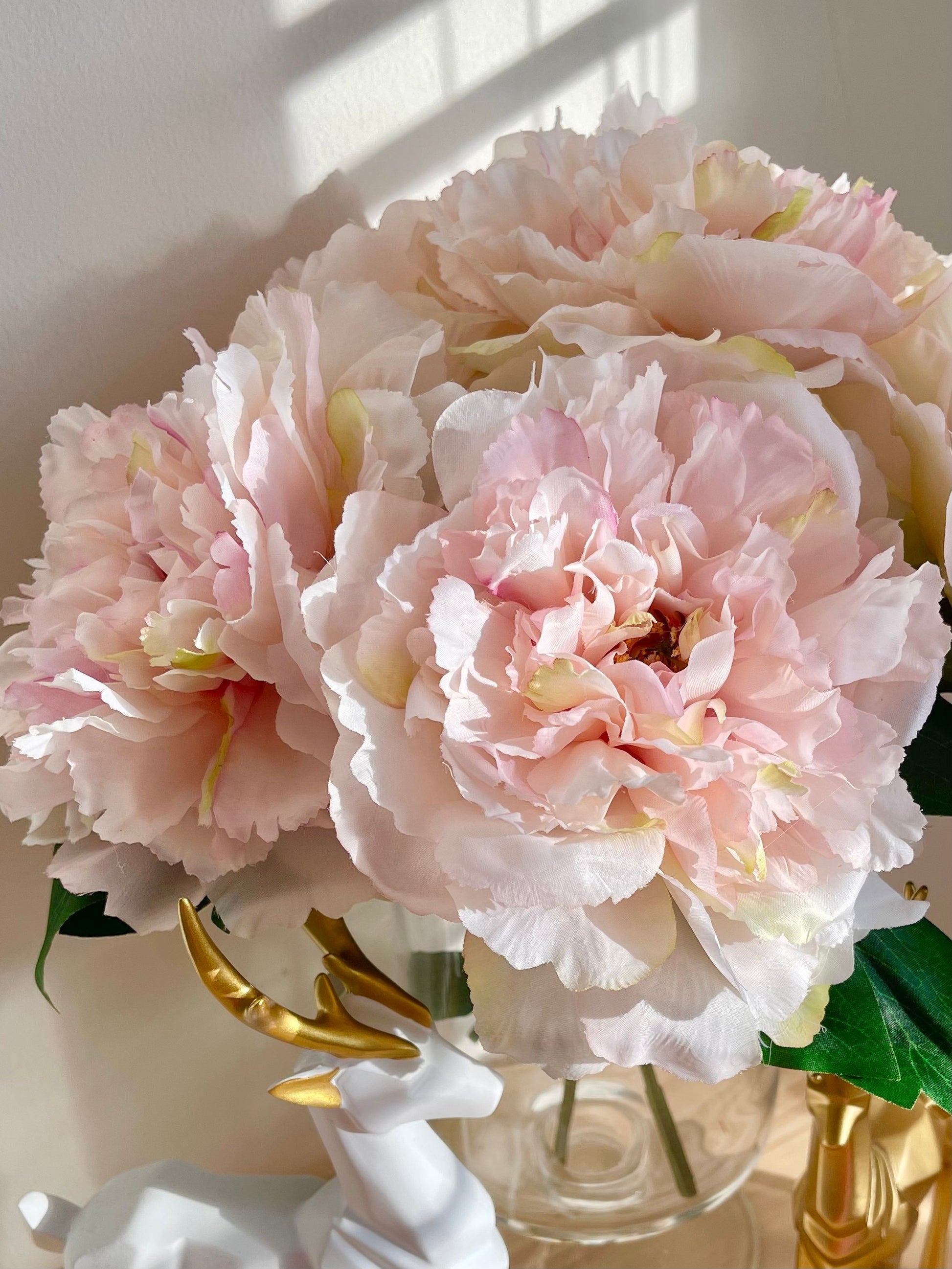 Light pink huge peony bloom close-up