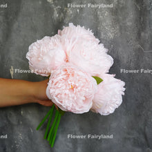 Load image into Gallery viewer, 5 Stems Peony Bouquet – Multi-Color
