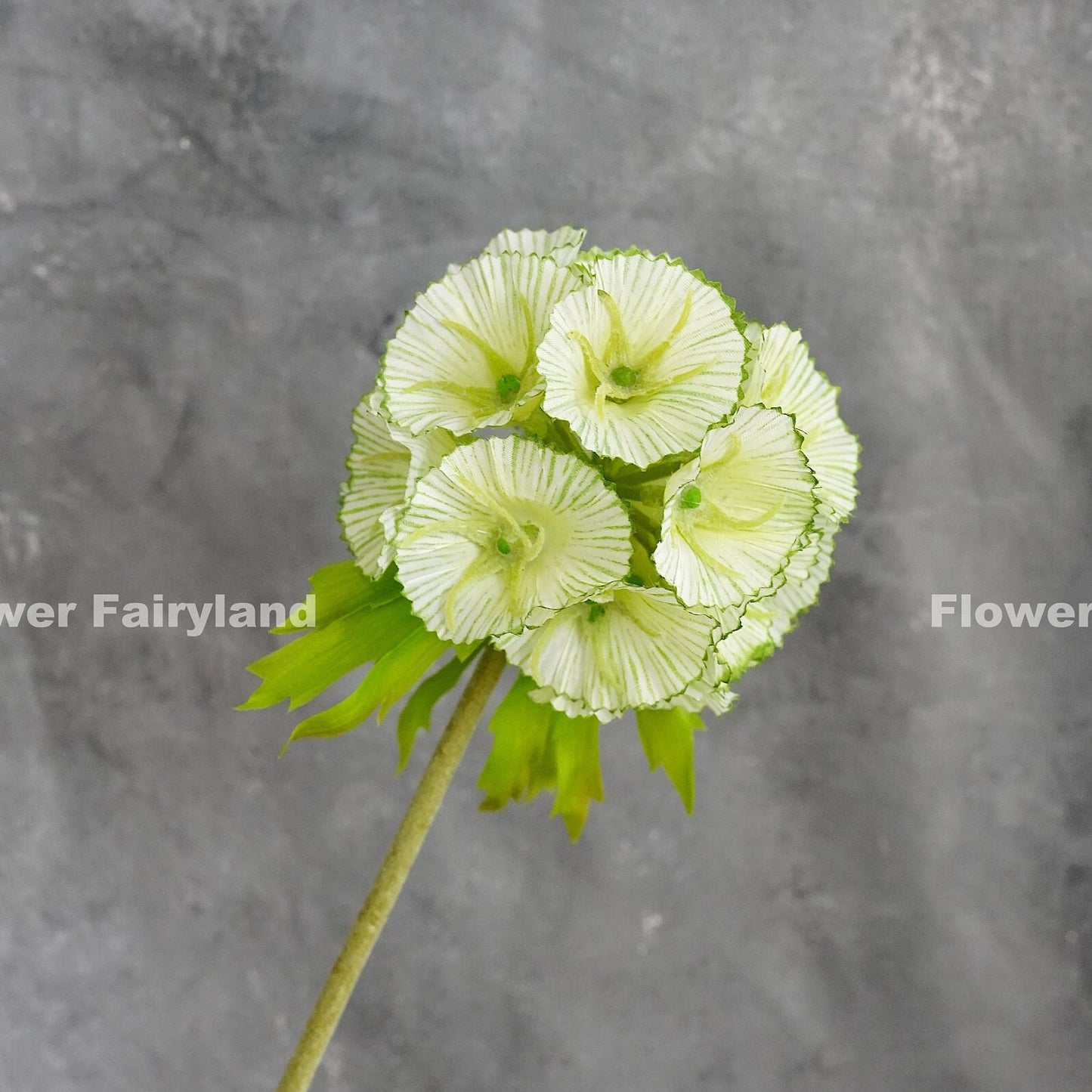 Faux starflower scabiosa stellata stem in light colorway