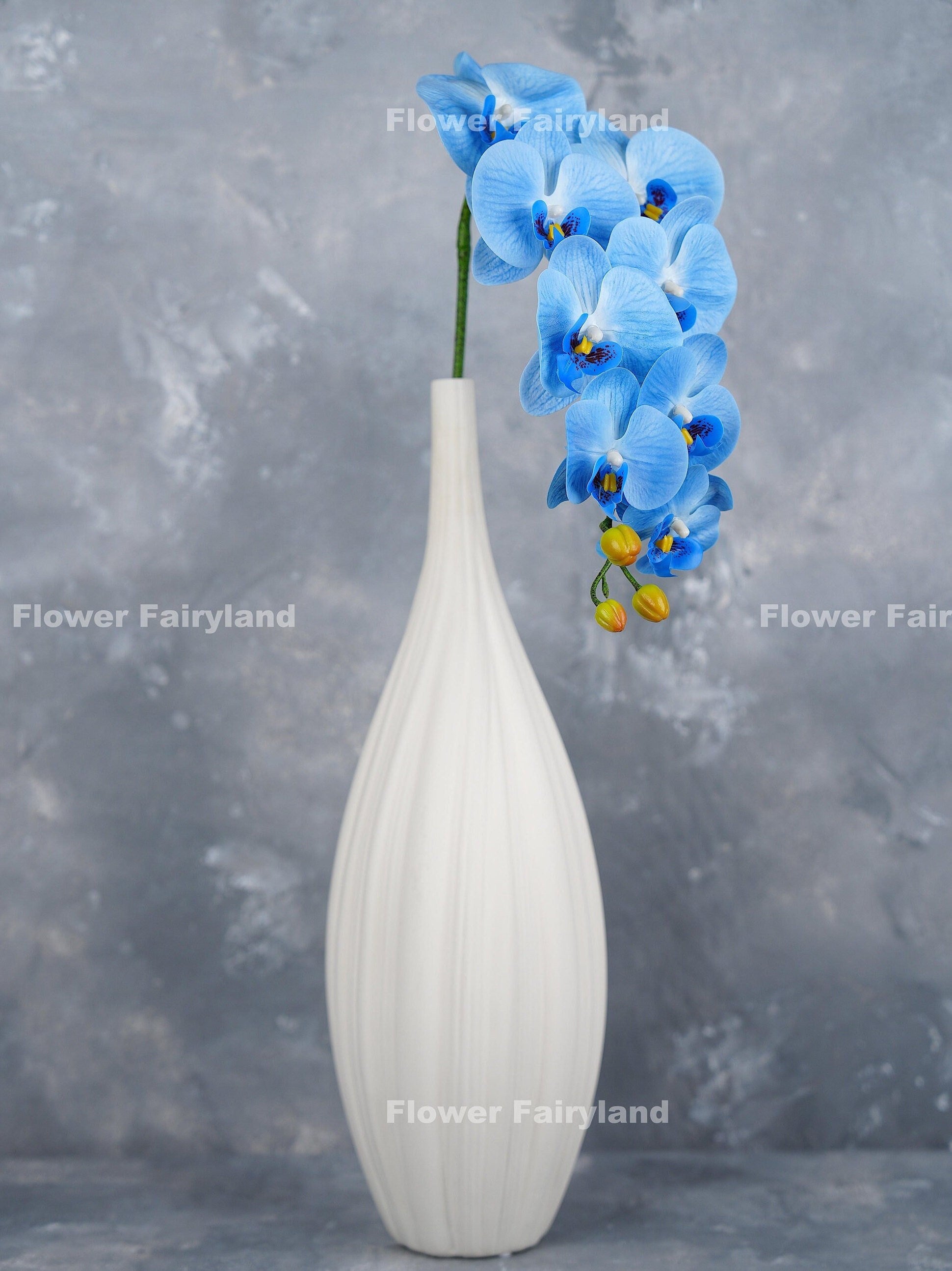 Blue orchid flower detail