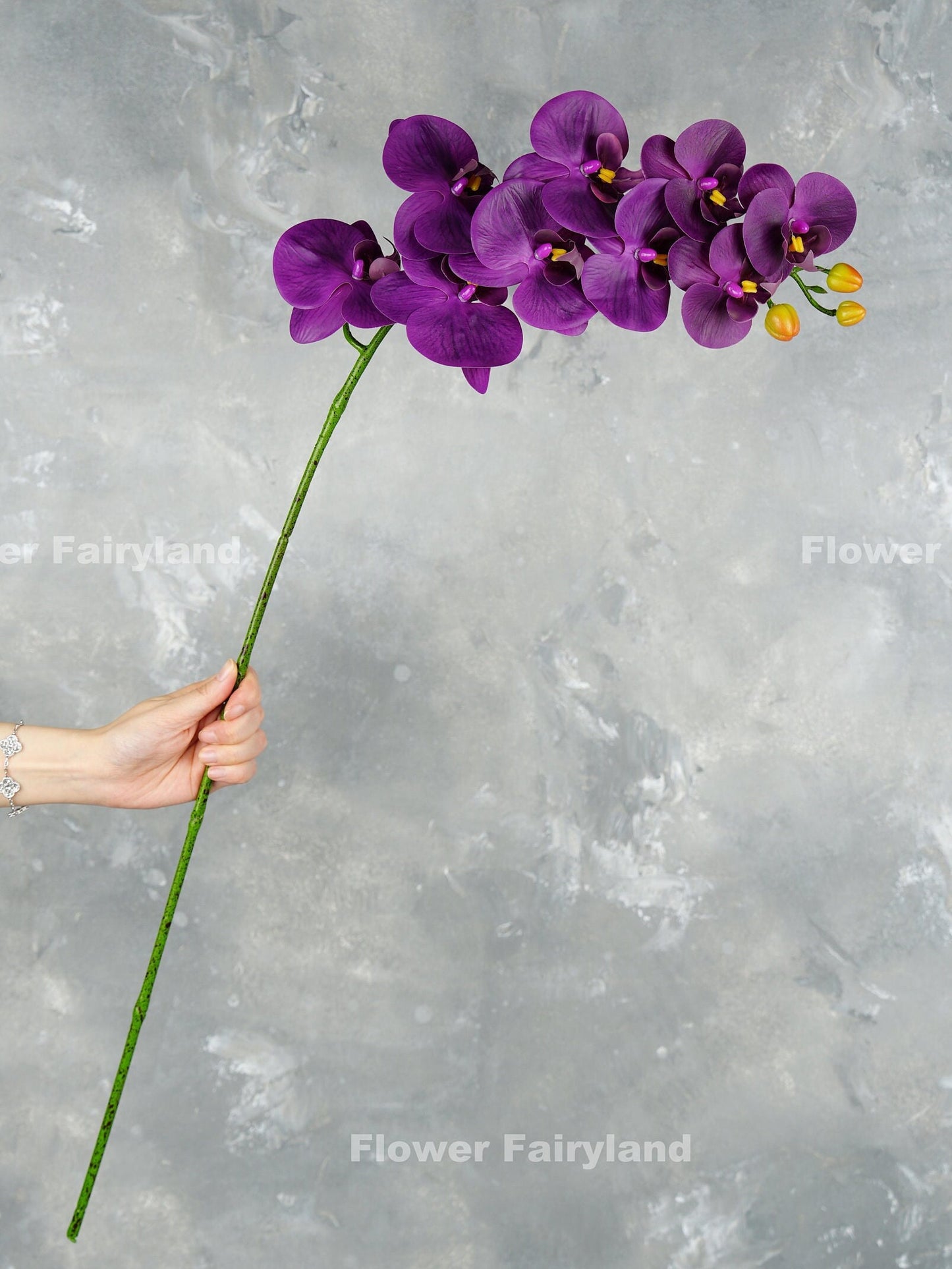 Dark grape purple orchid in a vase