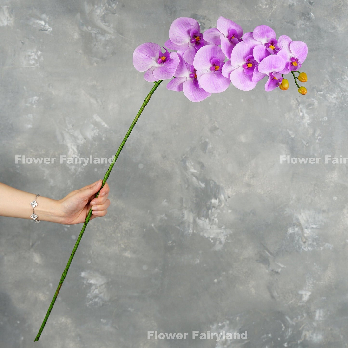 Light purple orchid in a vase