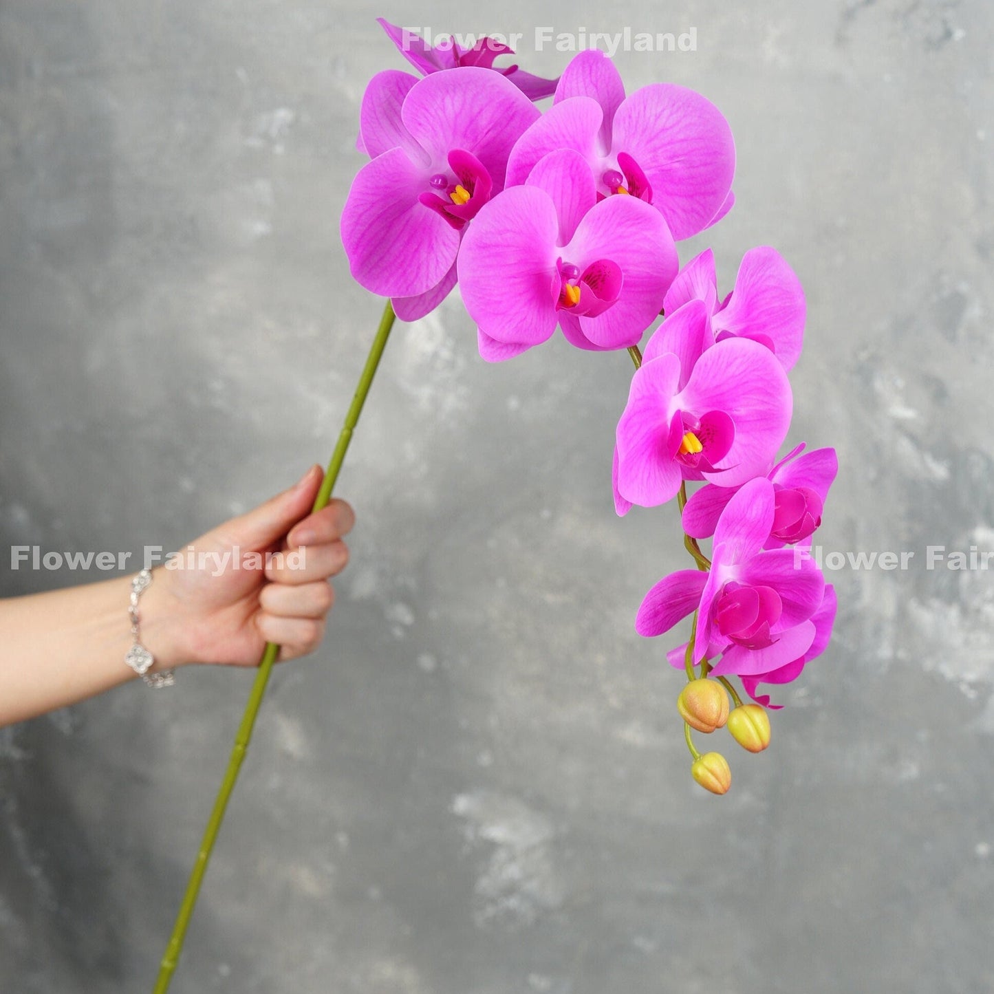 Fuchsia orchid flower detail