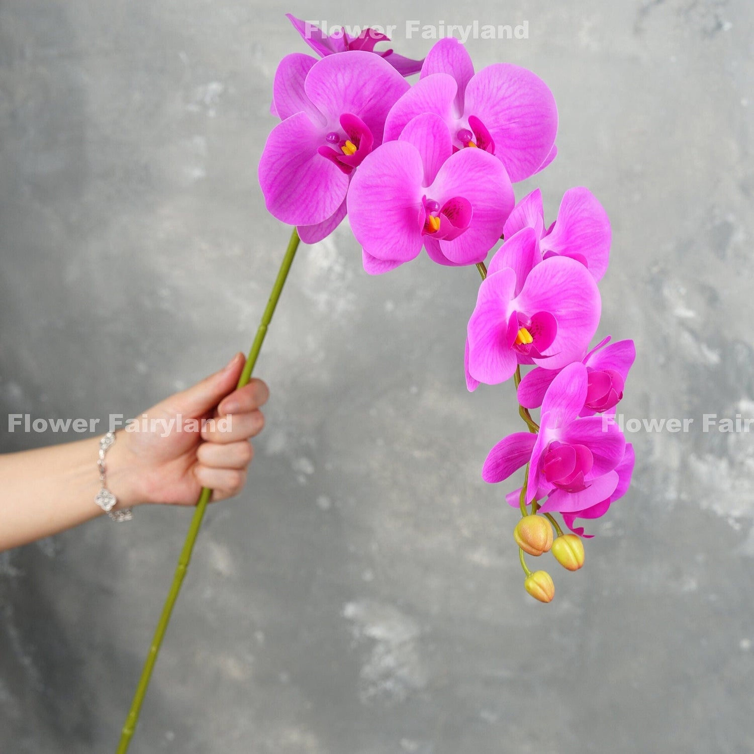 Fuchsia orchid flower detail