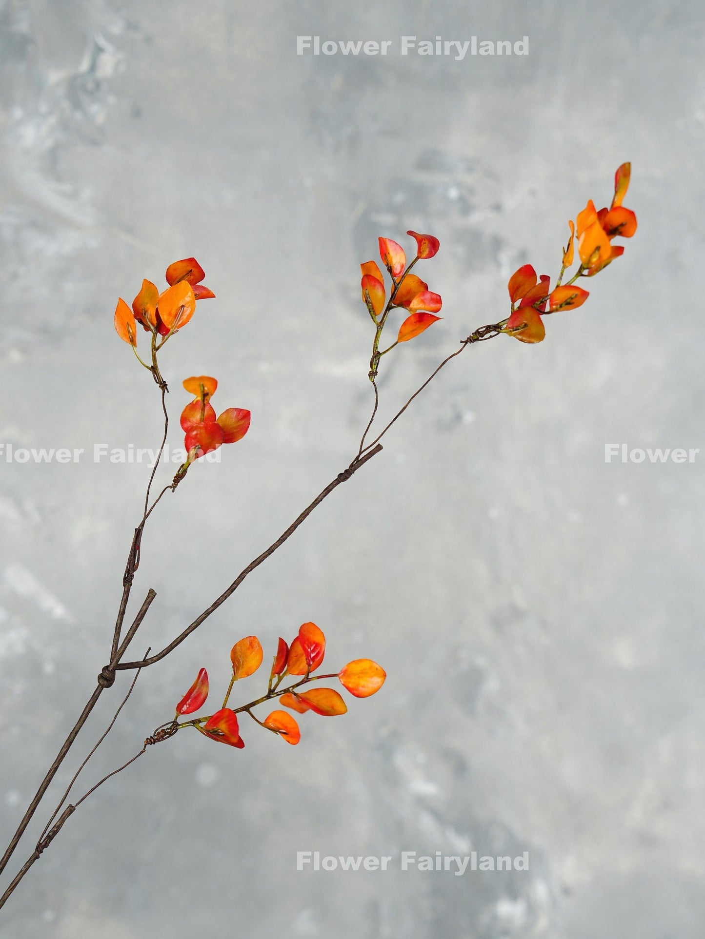 Orange leaf branch detail