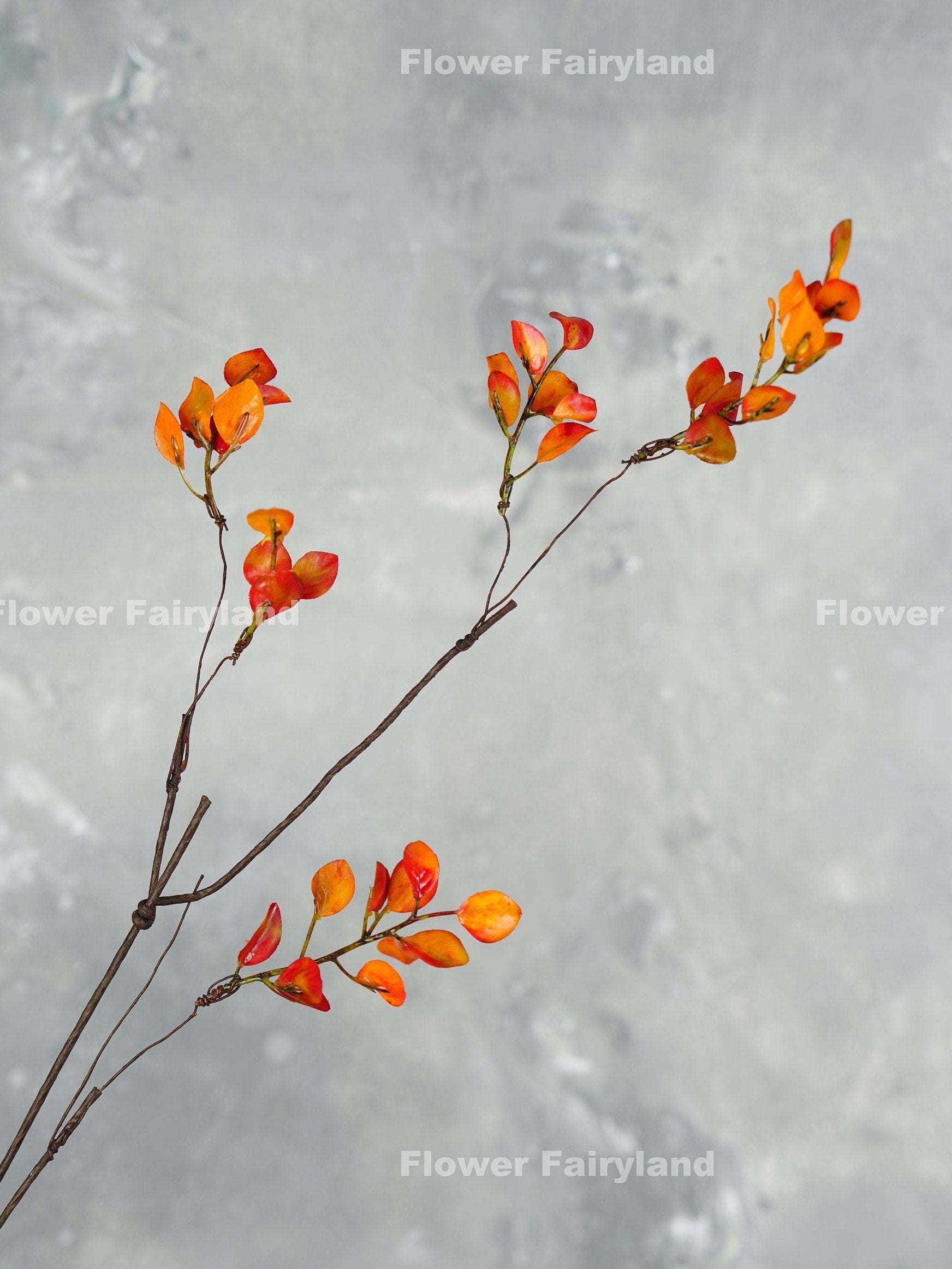 Orange leaf branch detail
