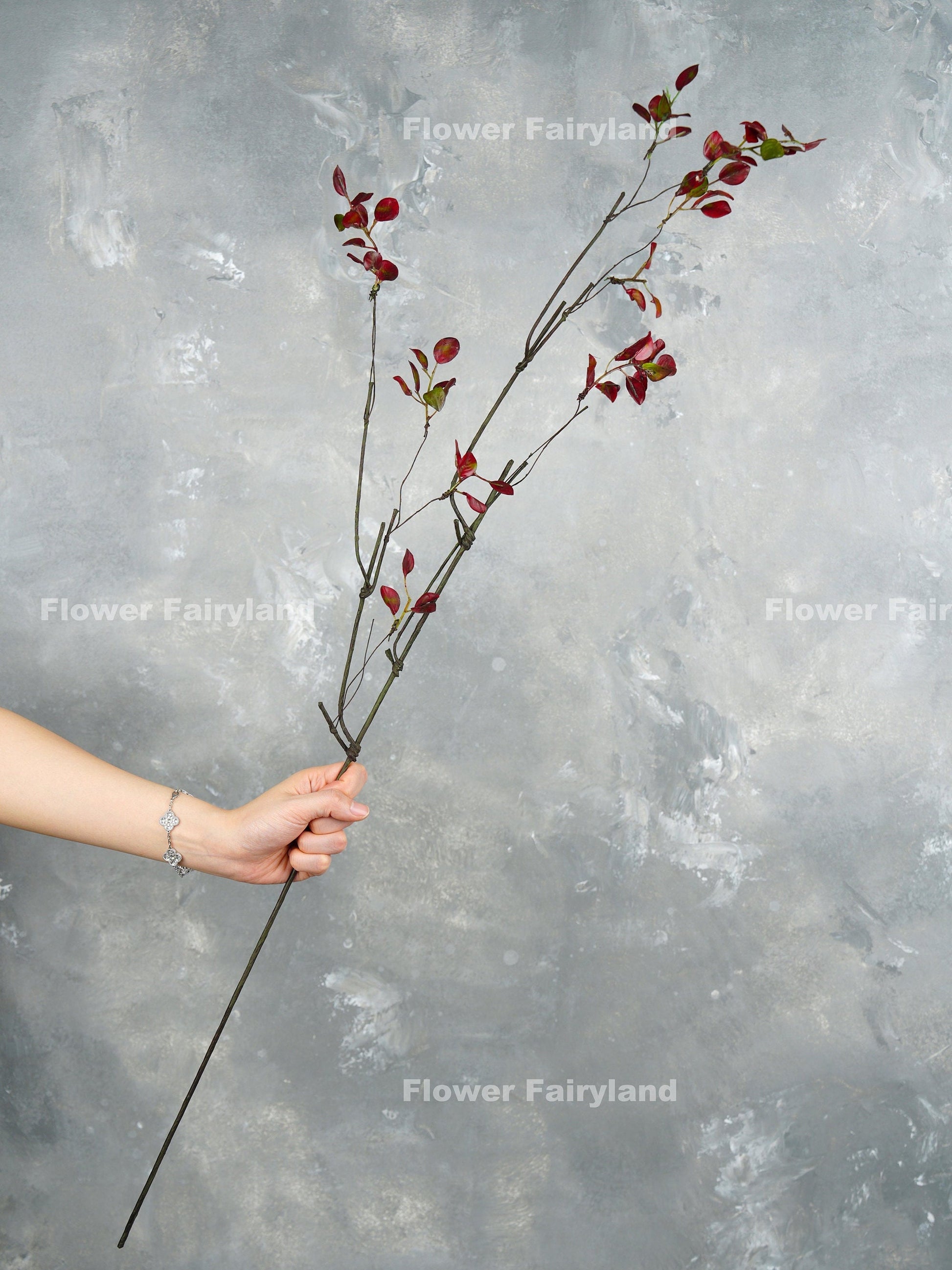Single burgundy leaf branch stem
