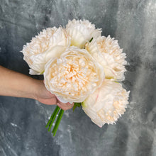 Load image into Gallery viewer, 5 Stems Peony Bouquet – Multi-Color
