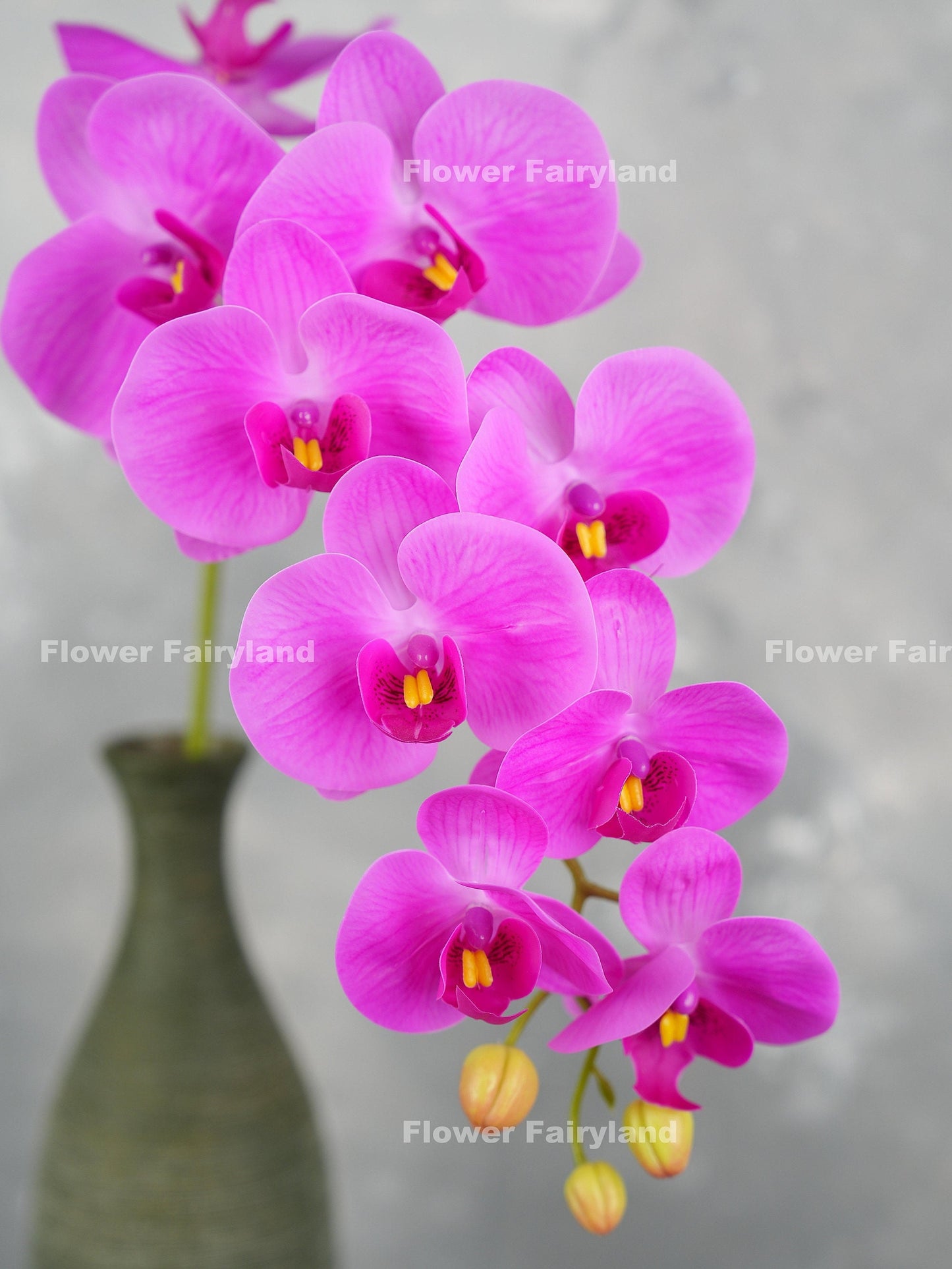 Fuchsia orchid in a vase
