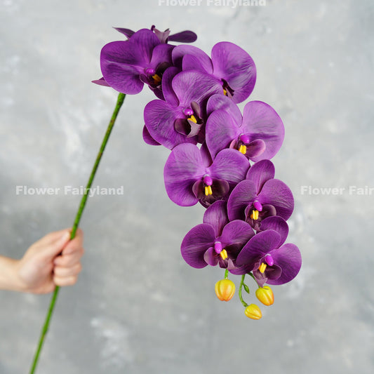 Dark grape purple real touch 9 head orchid stem