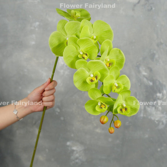 Green real touch 9 head orchid stem