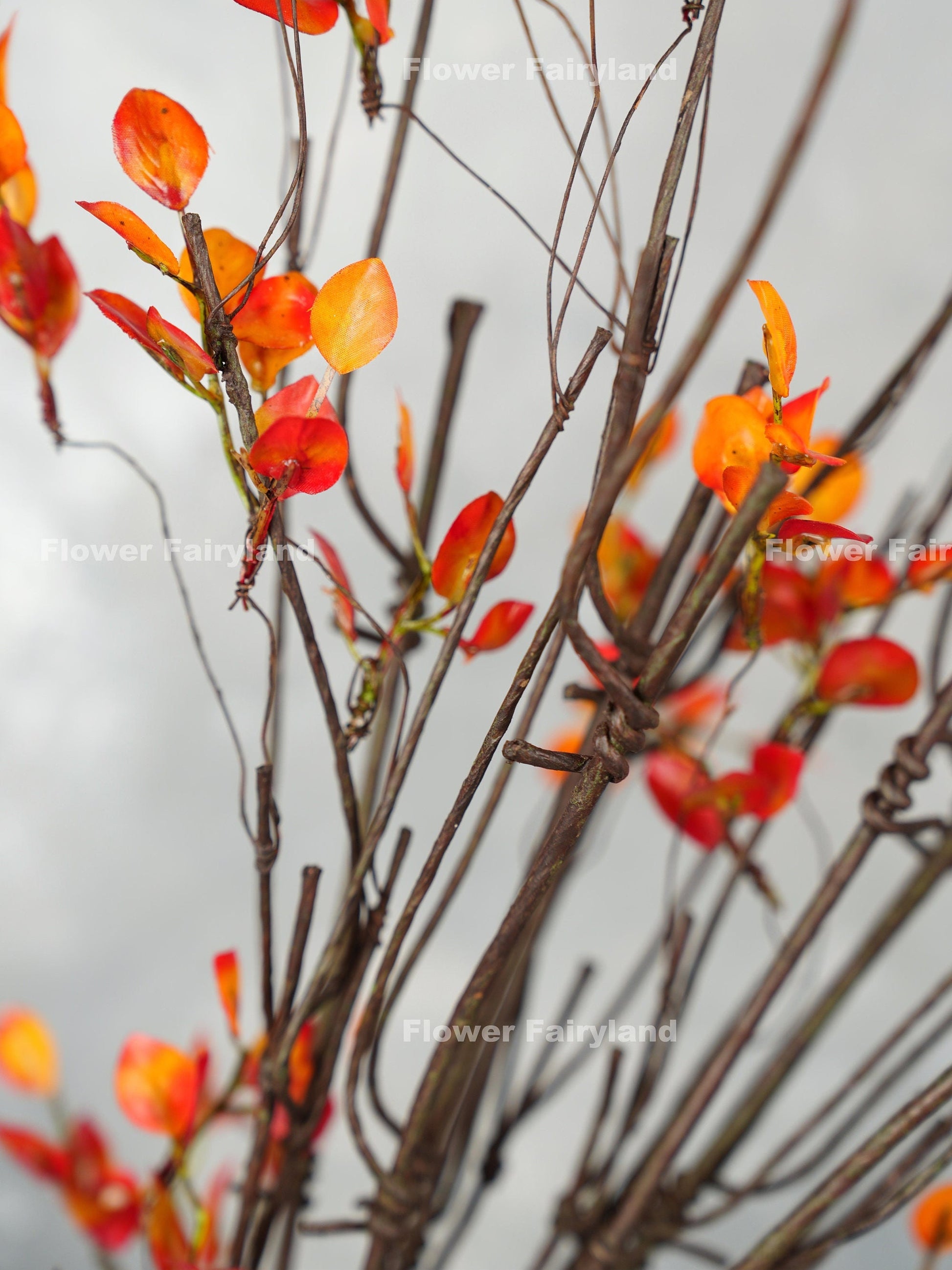 Orange leaf branch stem texture close-up