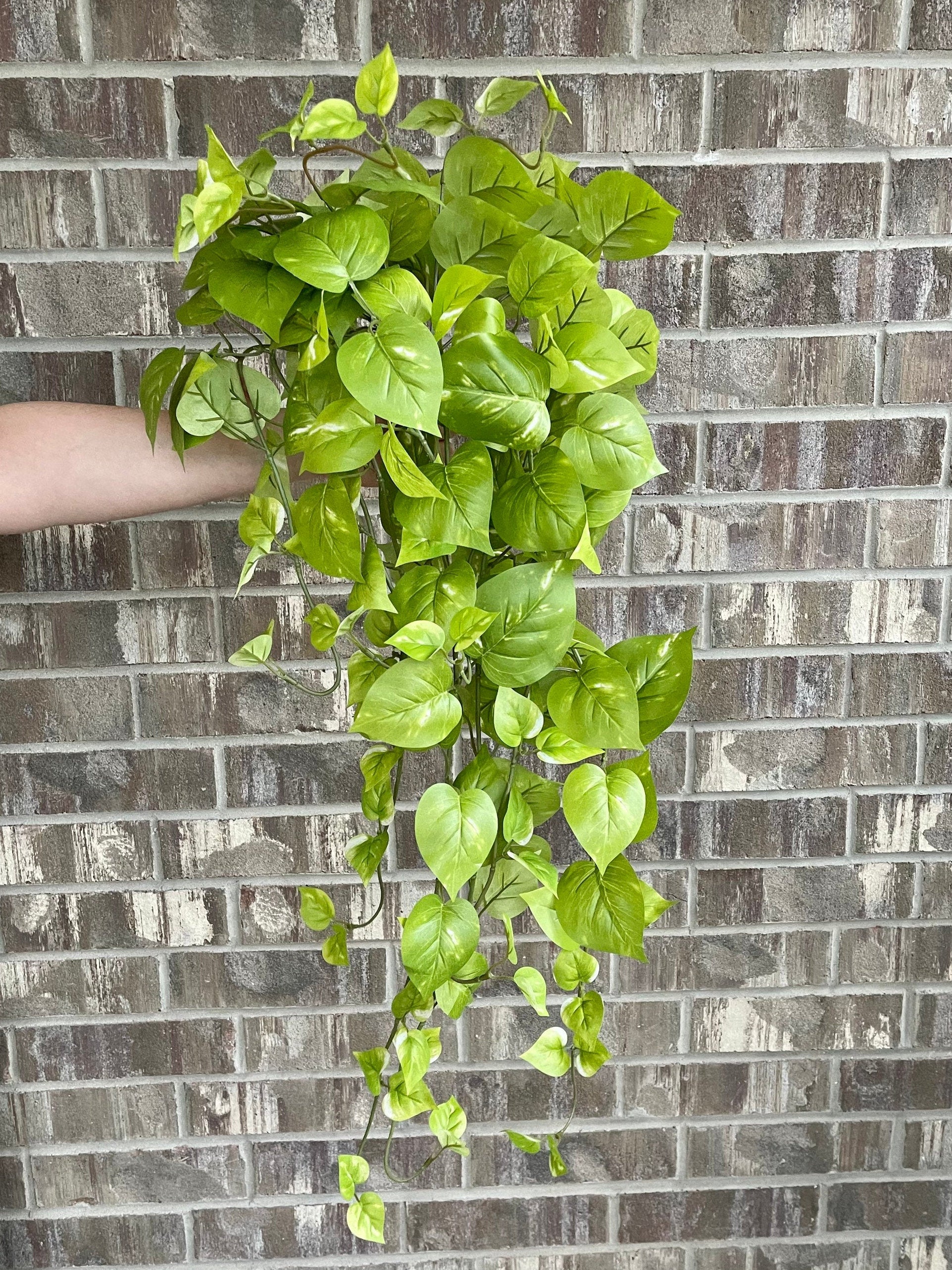 34 inch faux hanging golden pothos in light green on brick wall