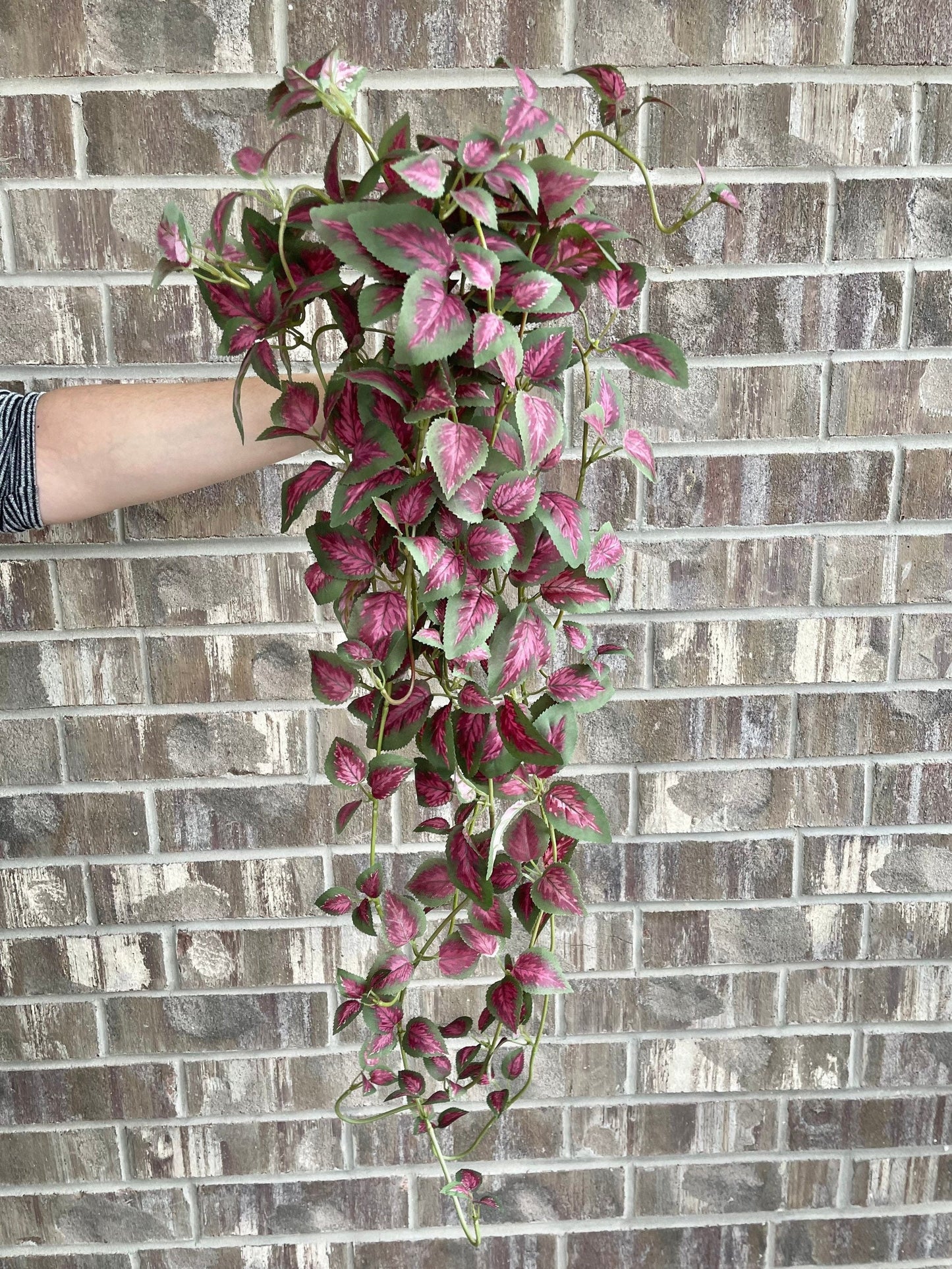 Dark pink 34 inch faux hanging pothos