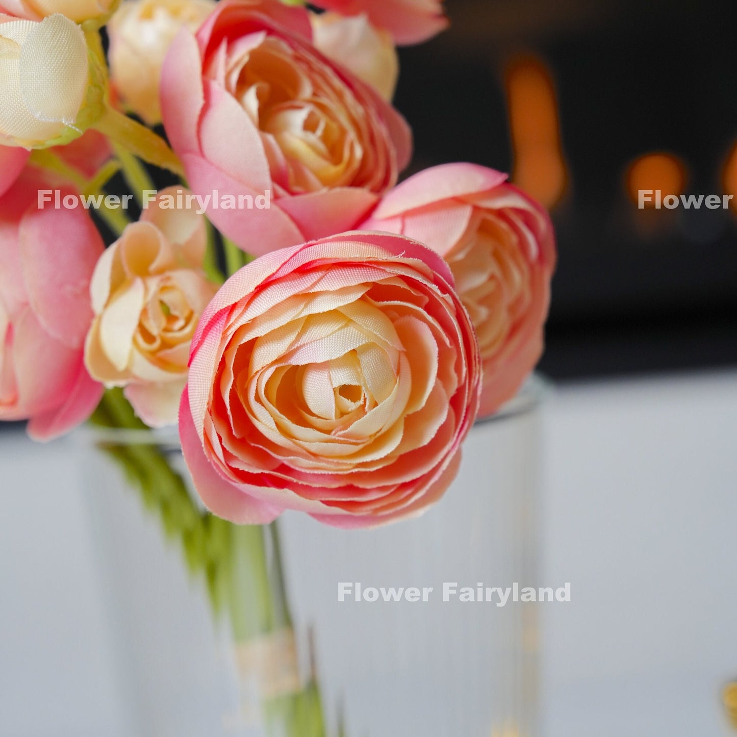 Pink peach ranunculus blooms close-up