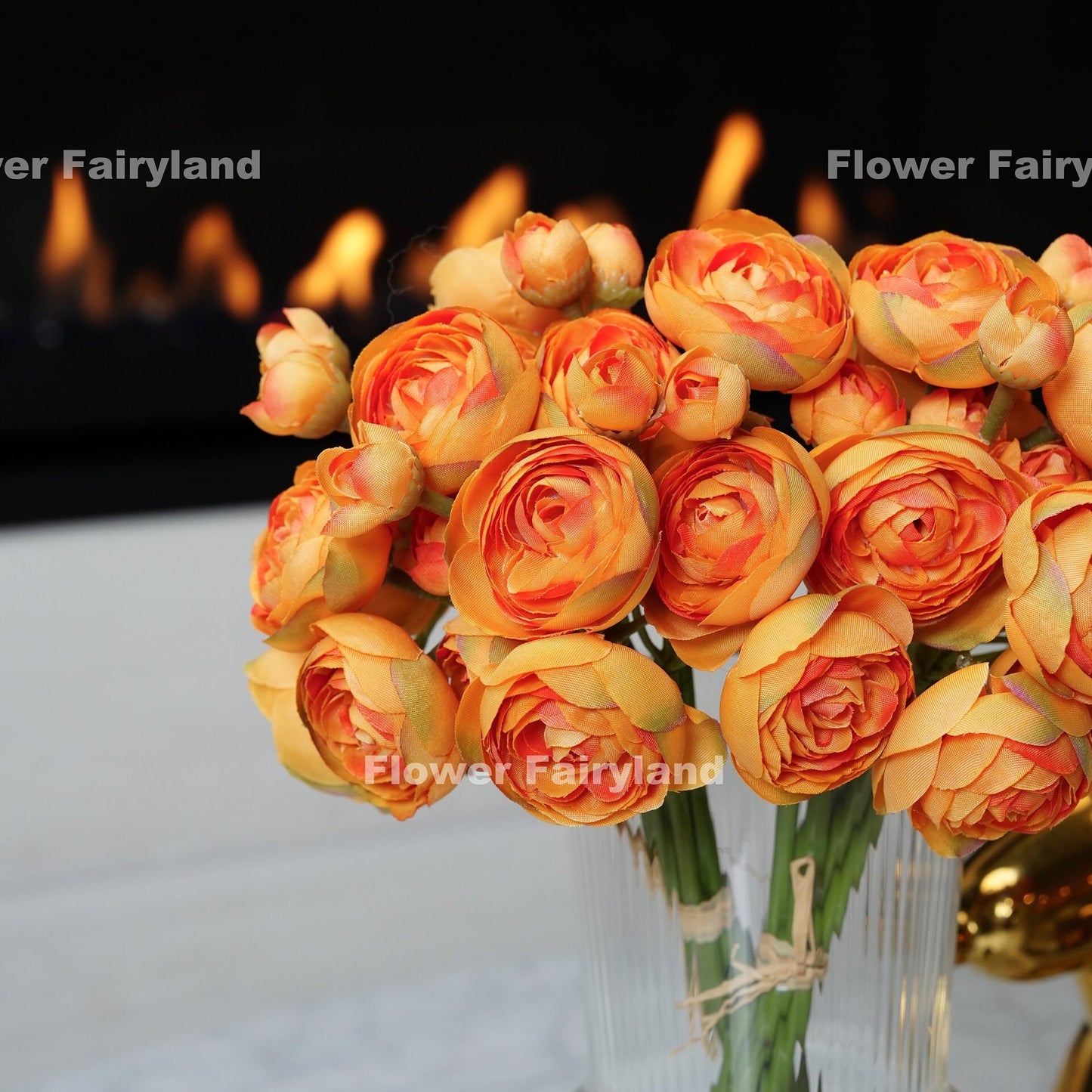 Gradual orange ranunculus blooms close-up