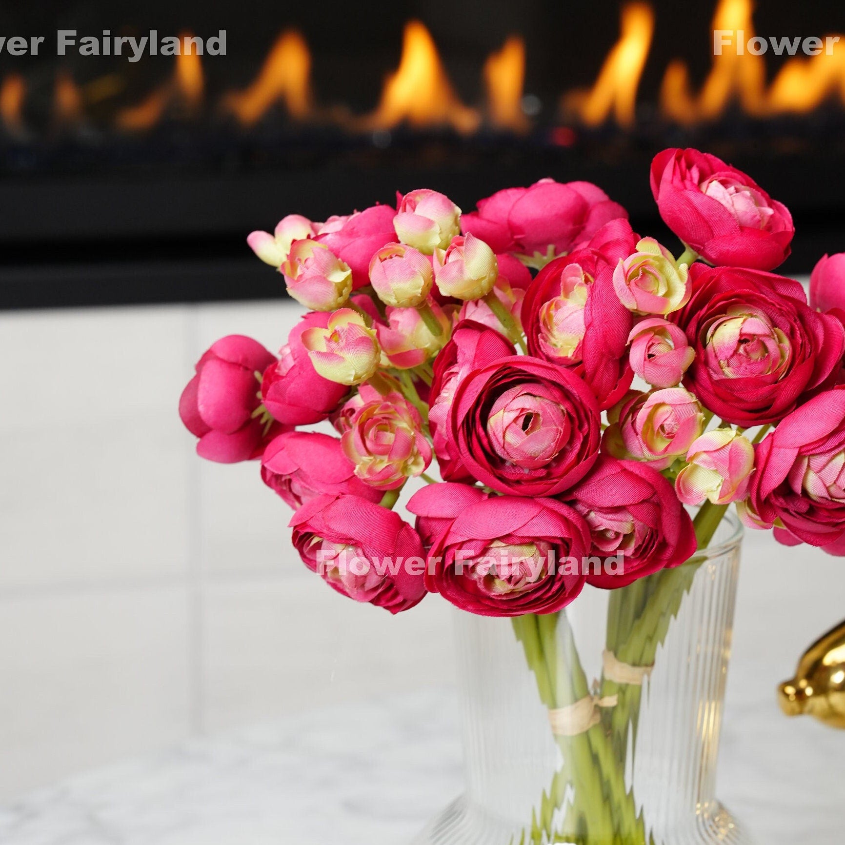 Magenta pink ranunculus blooms close-up