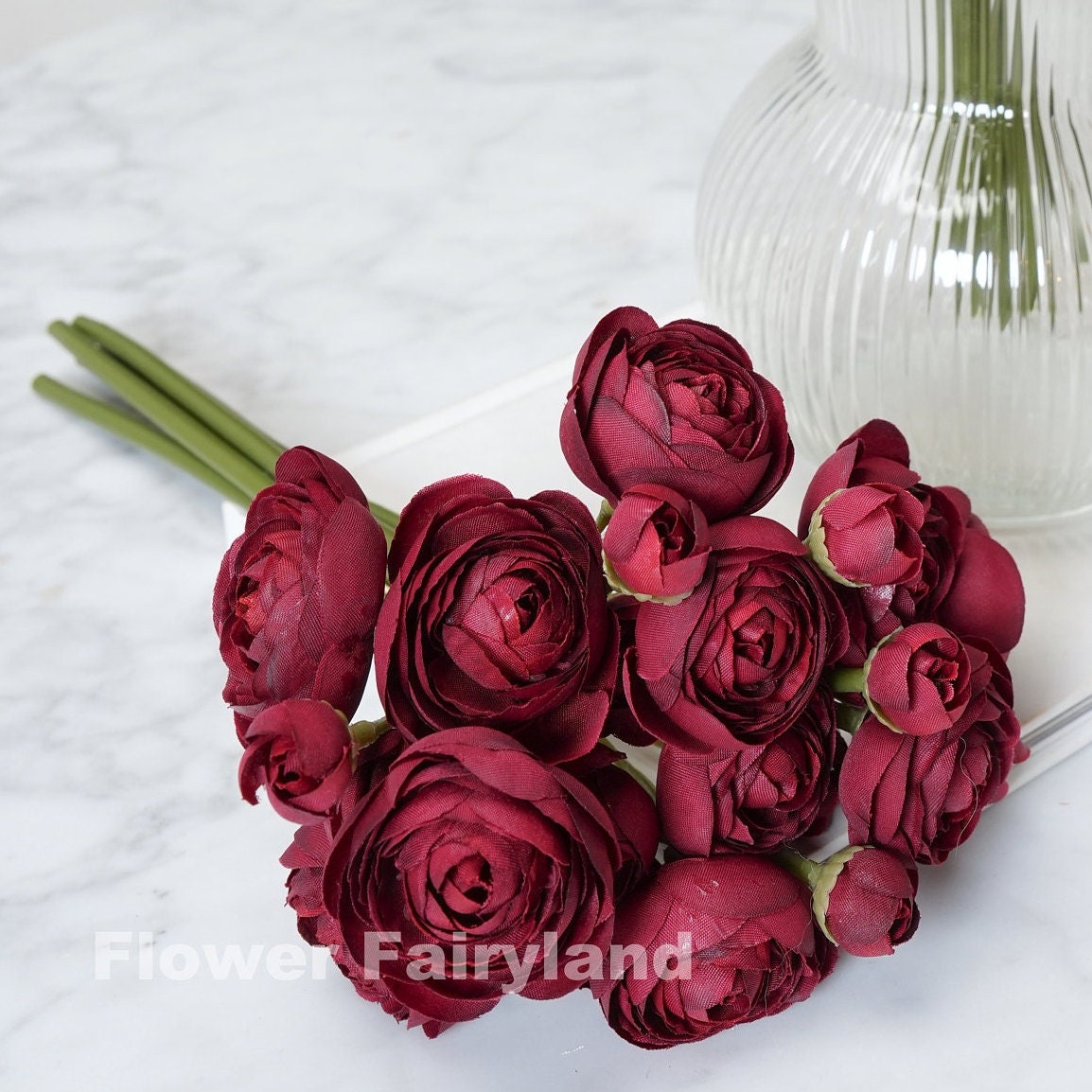 Burgundy ranunculus blooms close-up