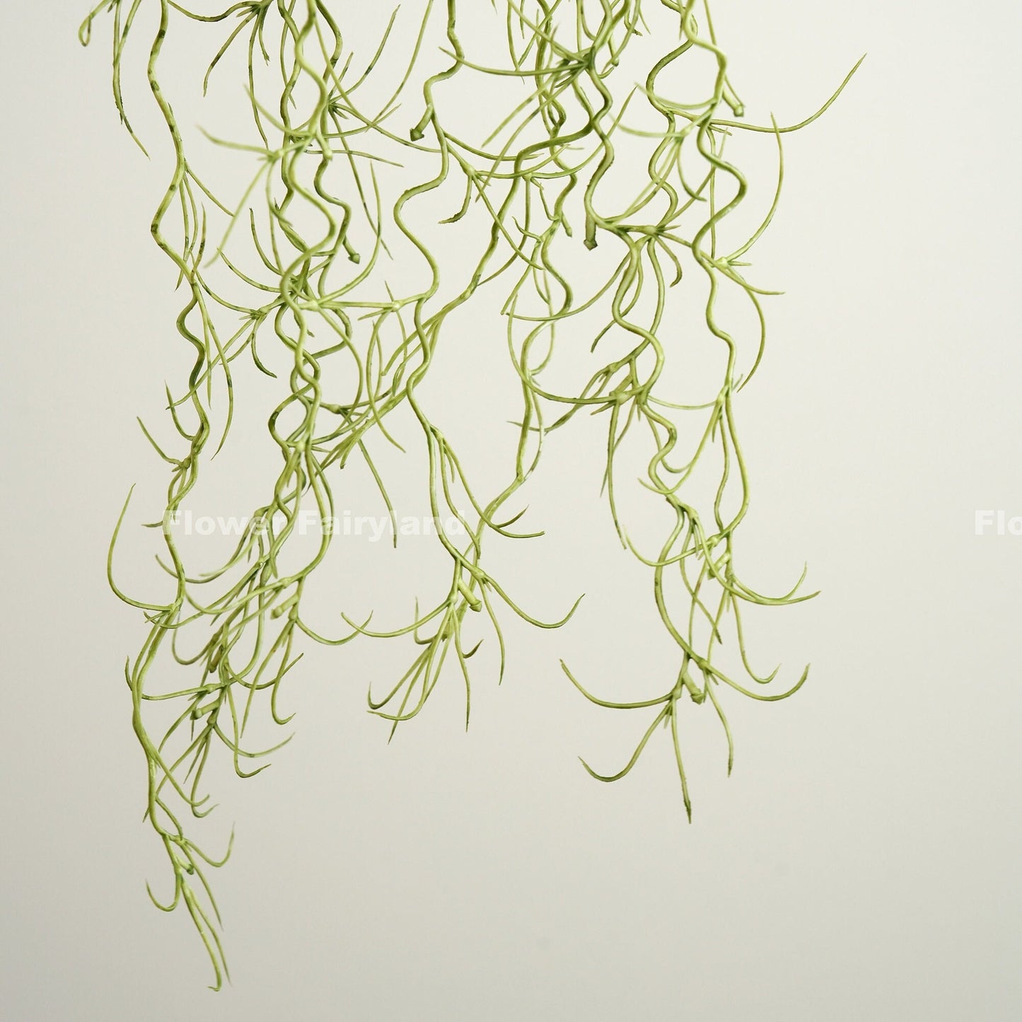 Dusty green Spanish moss hanging plant in home decor