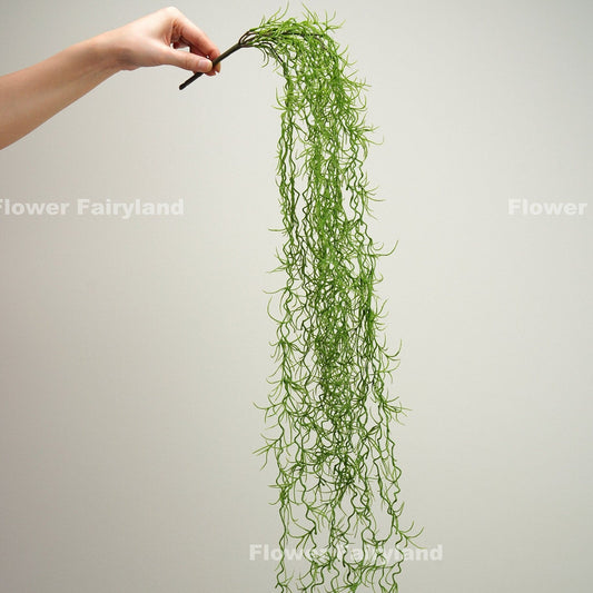 Green Spanish moss wall hanging styled on wall
