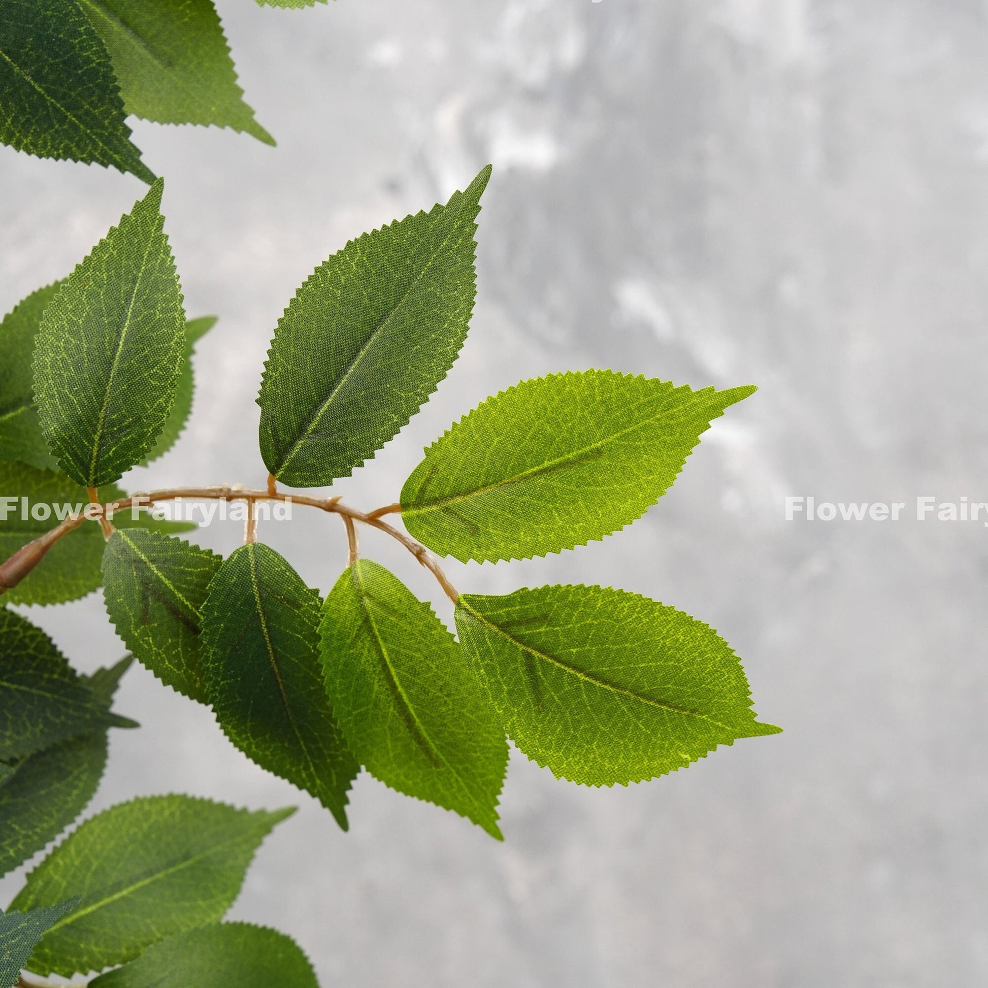 Faux ash branch leaves close-up