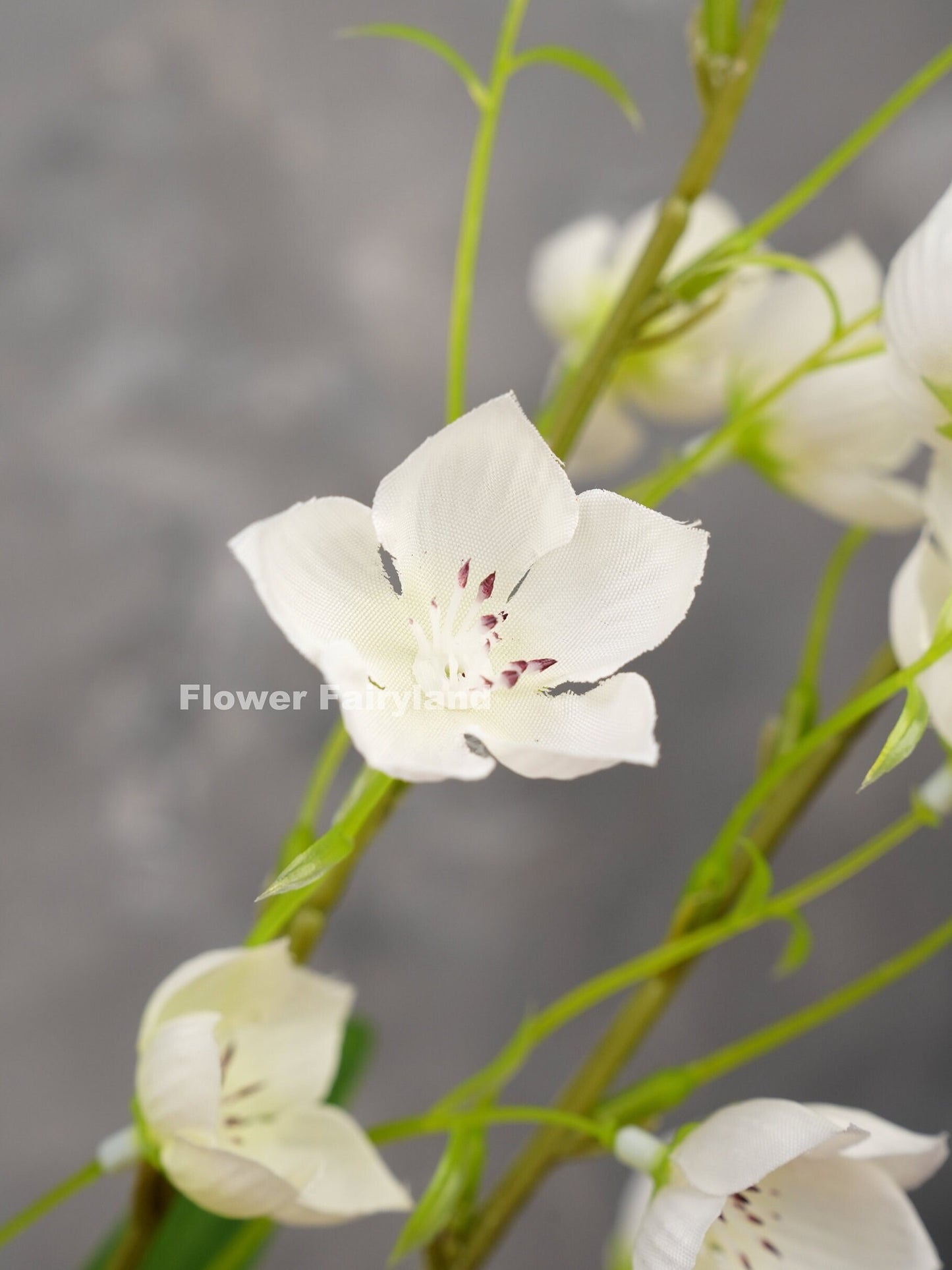 White faux Enkianthus bell flower close-up