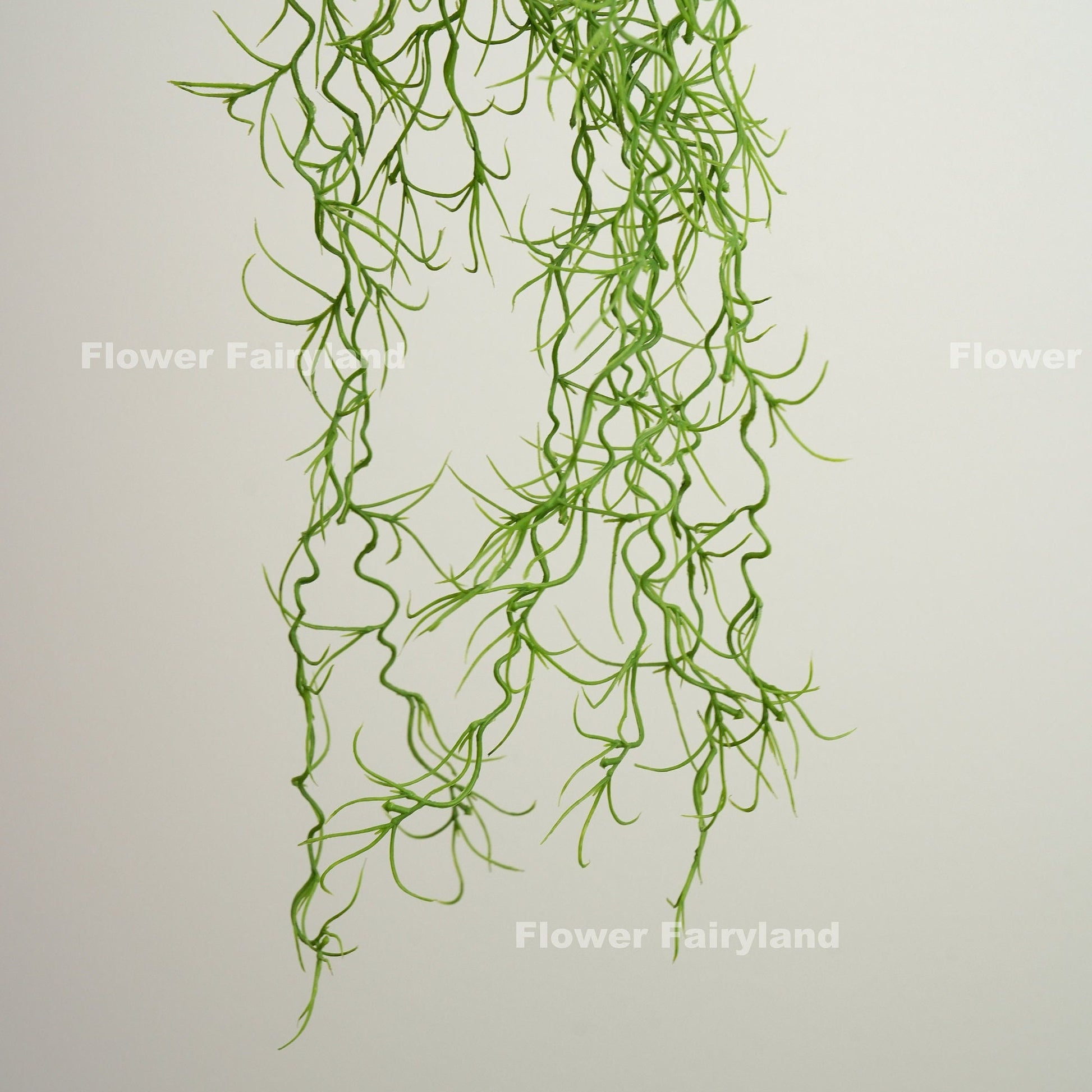Green Spanish moss airplant hanging display
