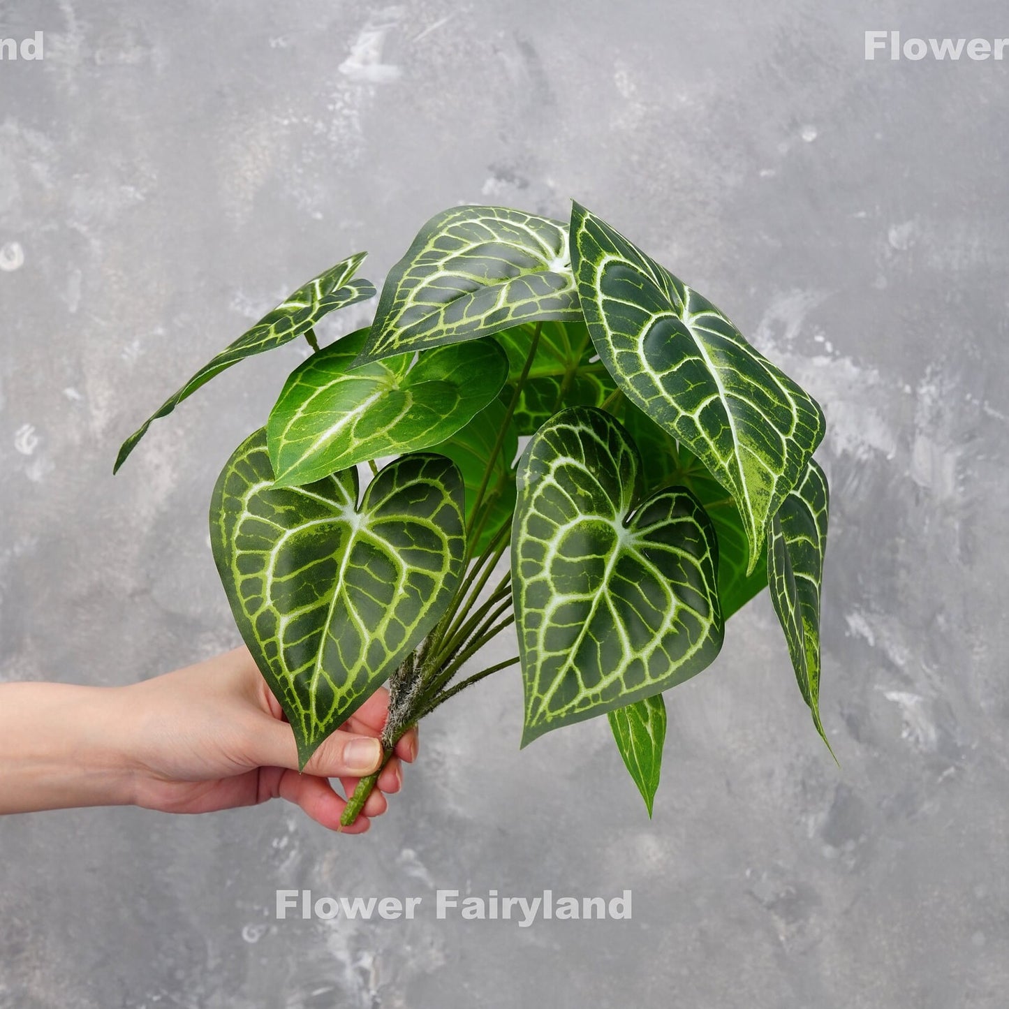 Faux arrowhead plant with white veined green leaves