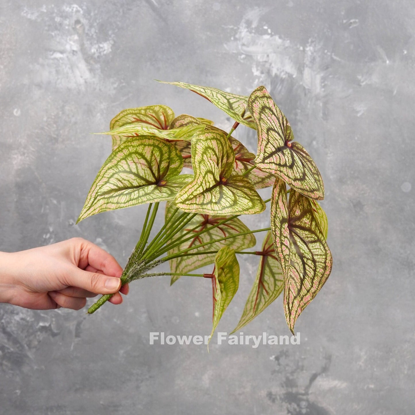 Veined cream angel wings leaf detail