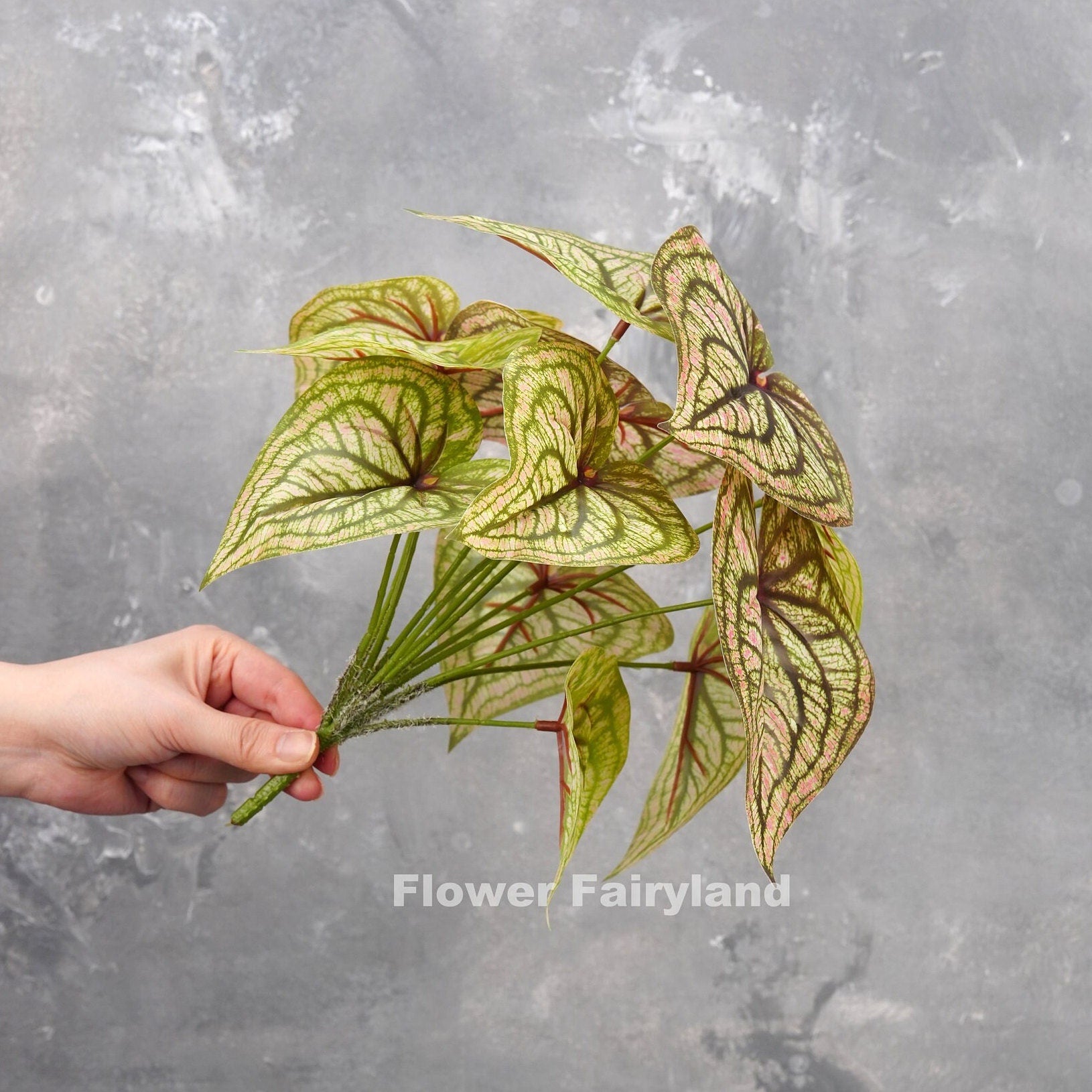 Veined cream angel wings leaf detail