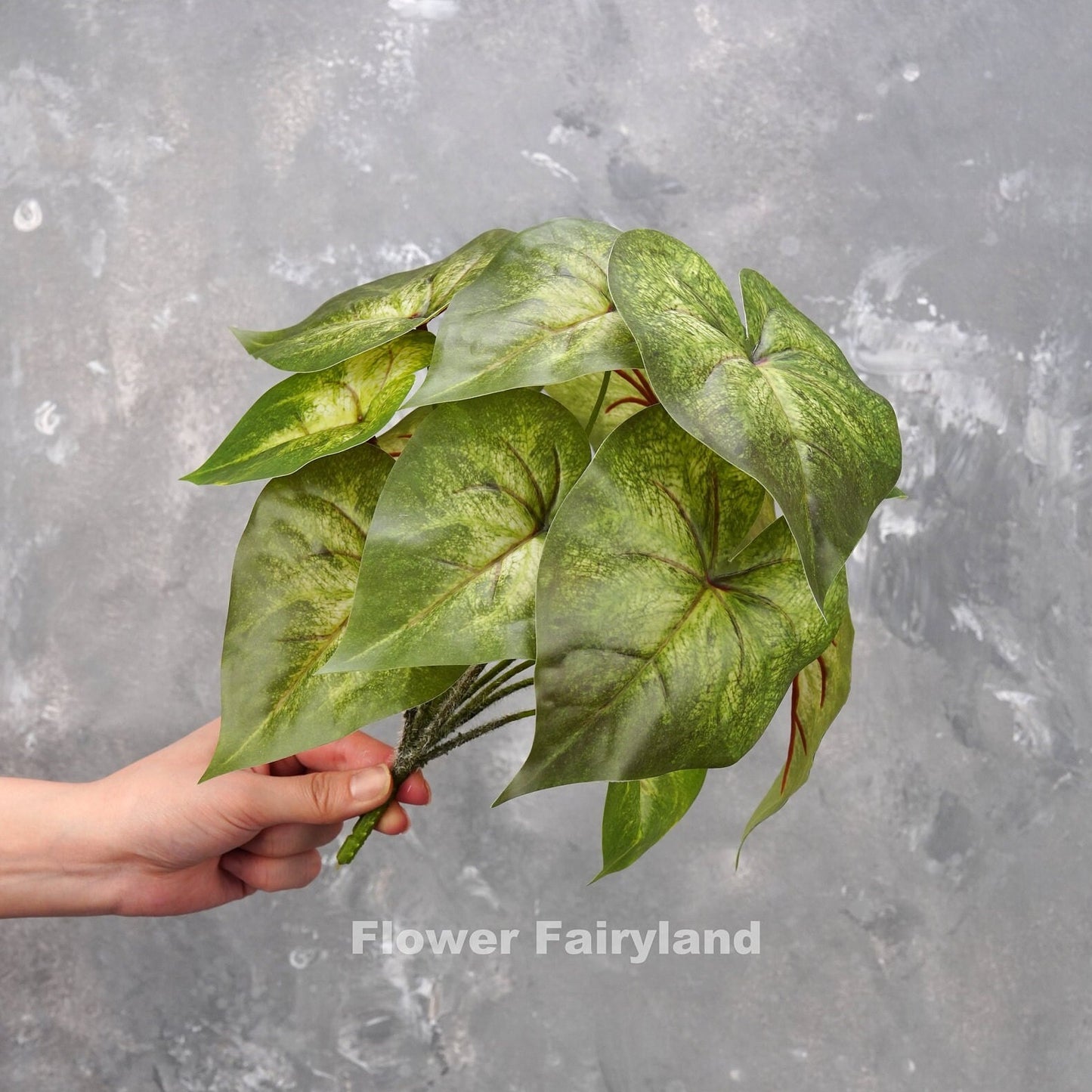 Faux angel wings plant with mottled green leaves