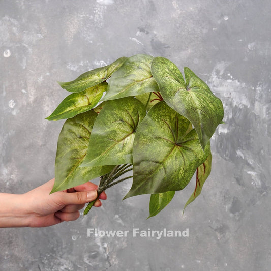 Faux angel wings plant with mottled green leaves
