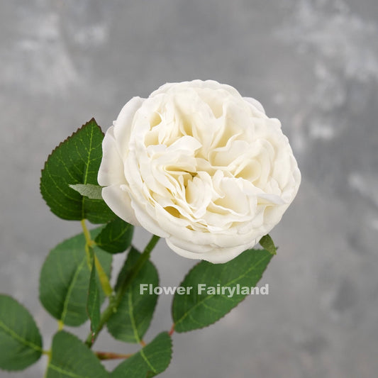 Bright white real touch David Austin rose stem