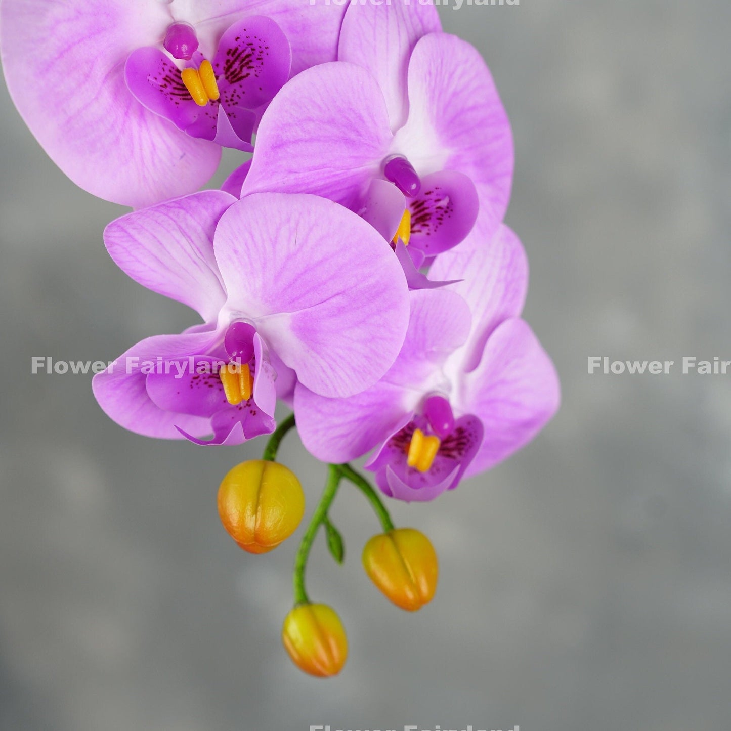 Light purple orchid flower detail