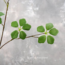 Load image into Gallery viewer, Faux Pieris Japonica Stem
