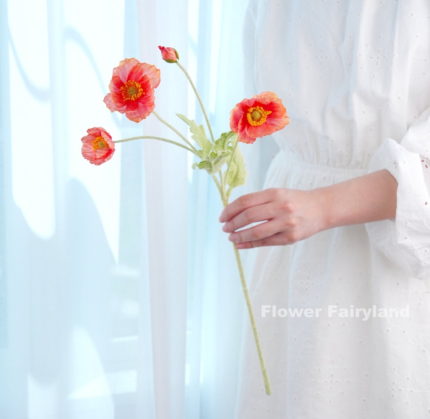Single reddish salmon poppy stem held in hand