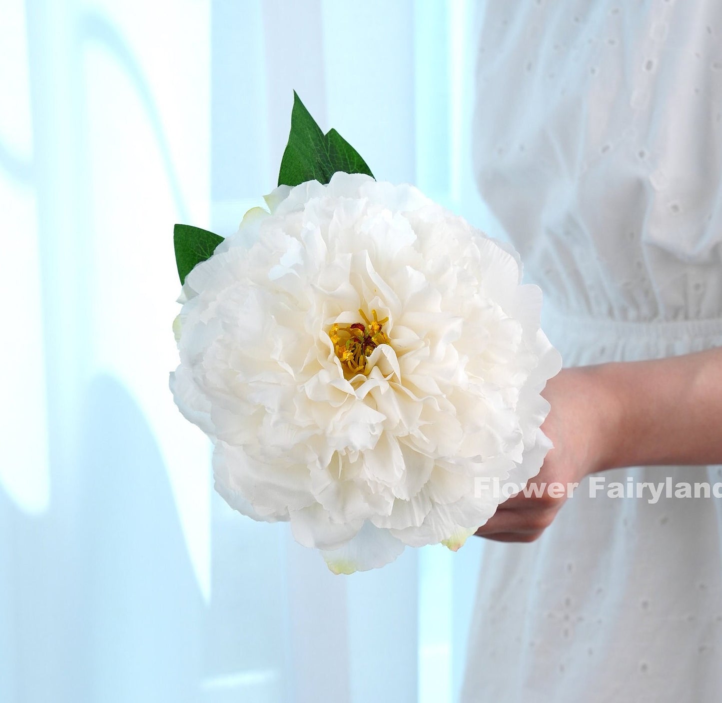 White huge peony flower detail