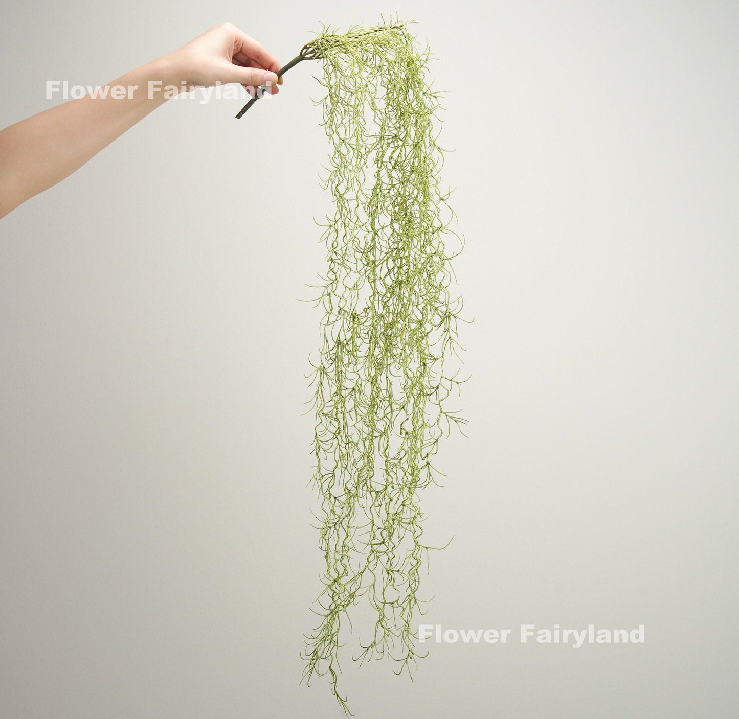 Dusty green Spanish moss wall hanging styled on wall