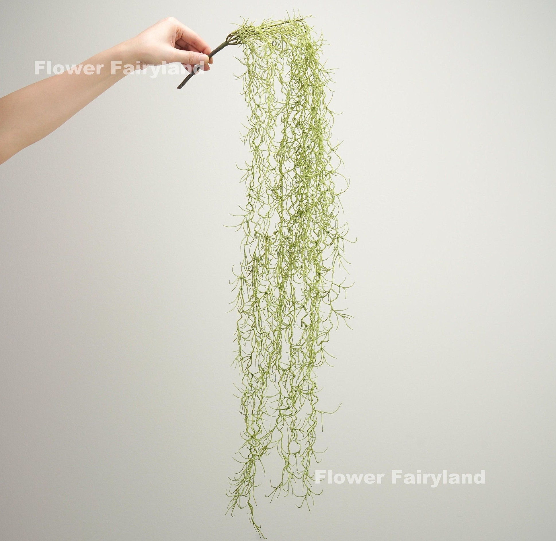 Dusty green Spanish moss wall hanging styled on wall